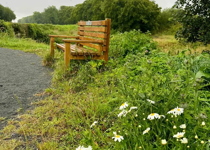 The Swim Lejlighed Port Laoise